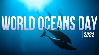 World Oceans Day Webinar