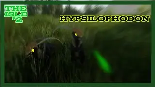 Hypsilophodon Azarado [Achei outro hypsi] (TheIsle#2)
