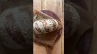 Pizza Dough transforms into Bread on a Baking Steel