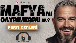 TÜRKÇE ASMR | MAFYA | GAYRİMEŞRU FARKLARI | PUROLU SOHBET | 