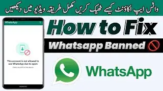 This Account is Not Allowed to use Whatsapp due to spam in 2024