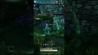 New world PvP VG/IG perfect kill setup