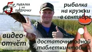 Рыбалка на кружки в Сентябре. Видео-отчёт