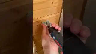 Как закрепить электрическую зубную щетку. DIY