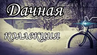 Что у Мауса на даче? Обзор части коллекции