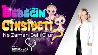 Bebeğin Cinsiyeti Ne Zaman Belli Olur?