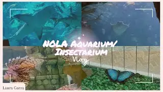New Orleans Aquarium and Insectarium Vlog - Laura Garza