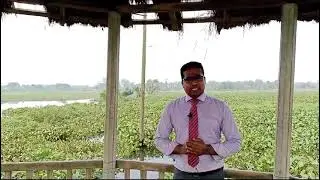 জেদ/ jealous/ What can do steadfast?