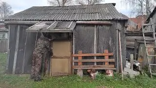 Можно ли что то найти в старом сарае?