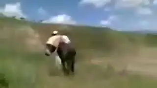 А гаренихош