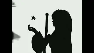Touhou - Bad Apple!!