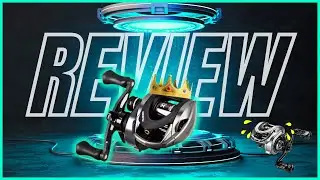 BUDGET KING Histar Aurora Air  - The Review