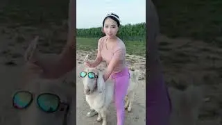 Girl rides her goat #9