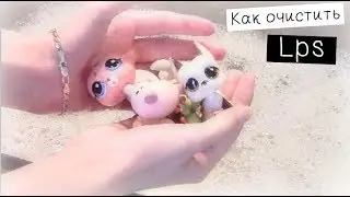 LPS: КАК ОЧИСТИТЬ ПЕТА?