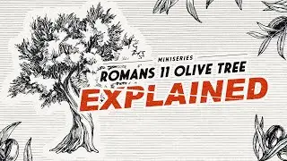Romans 11 Olive Tree EXPLAINED | Gateway Center for Israel