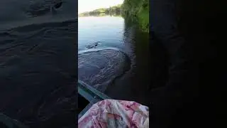 Трофейная рыбалка Щука на булю. Рыбалка без подсака. Оснастка стингер. Полное видео на канале
