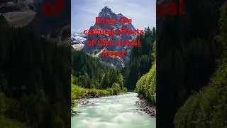 #nature