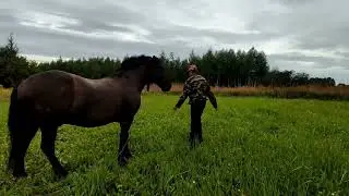Покупка Буяна.👍❤️