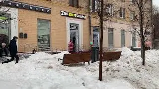 Sau 1 đêm bão tuyết