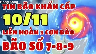 Dự báo thời tiết đêm nay và ngày mai 10/11 | Bão số 7 Yinxing mới nhất | dự báo thời tiết 3 ngày tới