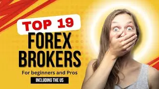 Discover the Best Forex Brokers for Beginners and Experienced Traders