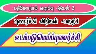 11ஆம்வகுப்பு இயல்2 புணர்ச்சி விதிகள் -பகுதி1