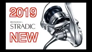● 2019 NEW STRADIC FL - SHIMANO - ●