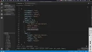 Episode 49: JSON Explained