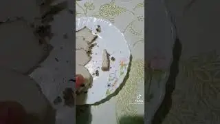 Украинский деликатес 