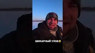 ШИКАРНЫЙ УЛОВ 😎🤩 #рыбалка #река #поклевка #тайга #зима #подсечка #лунка #лунка #хариус #сиг #язь