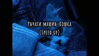 Рычаги Машин-Кошка (speed up)