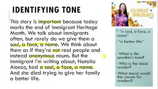 Identifying an Author's Tone