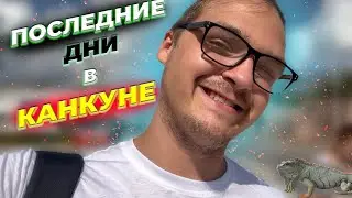Игуановый рай \ Последние дни в КАНКУНЕ #MEXICO 4.6