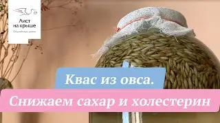 Oat kvass. Lowering sugar and cholesterol.