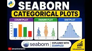 Categorical Plots in Seaborn| Strip plots, Count Plots, Swarm Plot in  Python