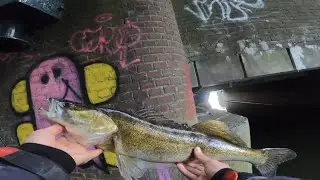 CRAZIEST ZANDER BITE EVER!