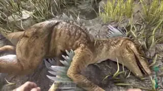 Ark Survival 