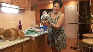 Трусы нужны с высокой посадкой 😂 НОЖКИ тоненькие, а жить то хочеться 🤣 и дырочка лучше