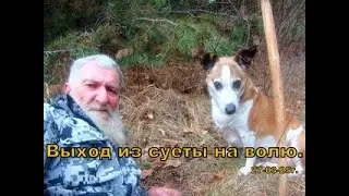 ИЗ СУЕТЫ НА ВОЛЮ