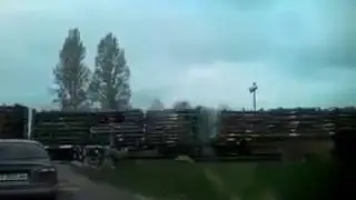 Як ліс вивозять    КОЛИ ЦІ  ВИЛУПКИ ГРОШЕЙ НАЇДЯТЬСЯ