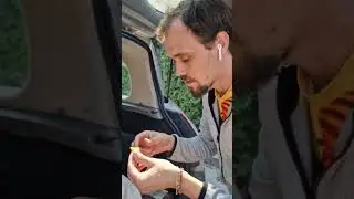 ПРИЙНЯЛИ ШИКАРНИЙ ВІСК #мед #длялюдей #animalhusbandry #бджільництво #automobile #bee #beekeeping