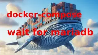 Docker compose wait until mariadb is running