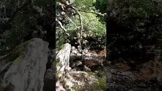 Alrededores Cascada de Nocedo (León, España) #rutasdeviaje #paisaje