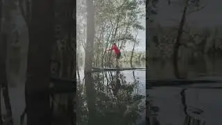This Is What Perfect Paddle Boarding Conditions Look Like...