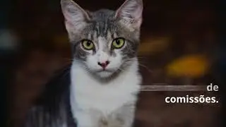 Como Cadastrar Informações de Pagamento no Hotmart