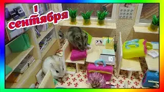 Говорящие хомячки в школе 🤣🐹 