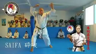 Falcone's System International Academy - Certificación en Protección Ejecutiva falconesystem.com