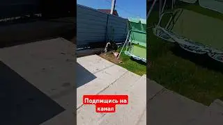 1 сентября 2024 г.