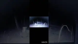 охота на фотоловушку✌️👌