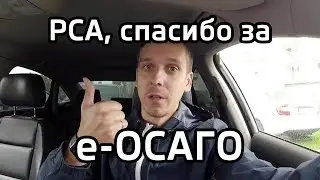 Electronic OSAGO, a scam from RSA (E-GARANTEE). Policy in the wrong insurance company